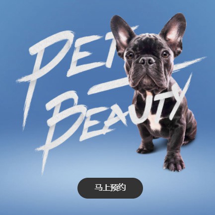 都匀市宠物中心小程序开发