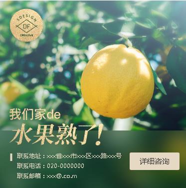 都匀市果园果林小程序开发